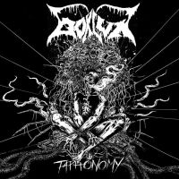 Bokluk - Taphonomy